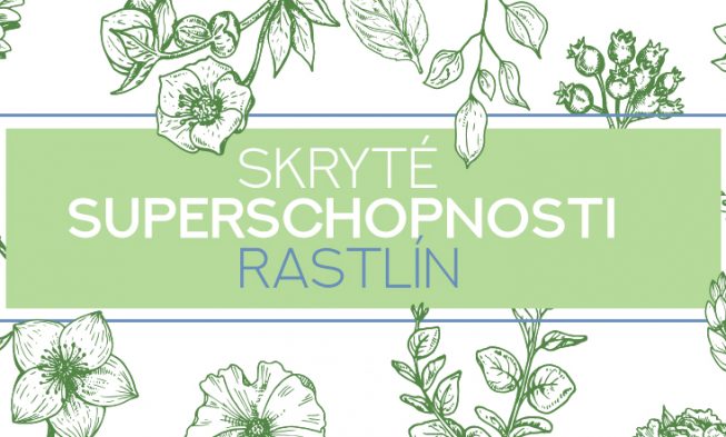 Skryté superschopnosti rastlín: čo môžu domáce rastliny spraviť pre Vaše telo a myseľ? img