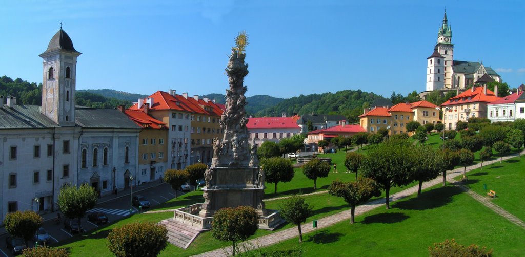 skarede-slovensko (3)