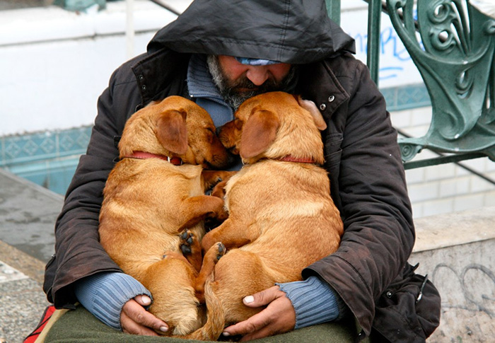 bezdomovci a psy (10)