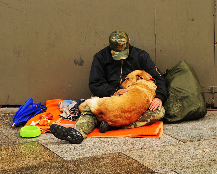 bezdomovci a psy (14)