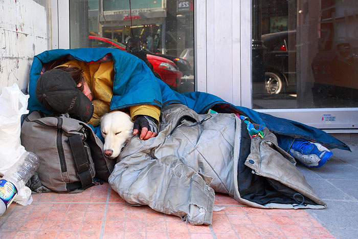 bezdomovci a psy (15)