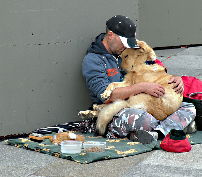 bezdomovci a psy (2)