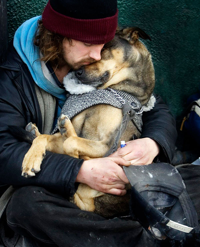 bezdomovci a psy (3)