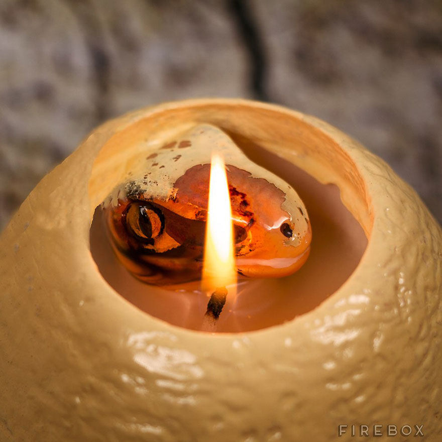 sviečka v tvare dinosaurieho vajca (4)