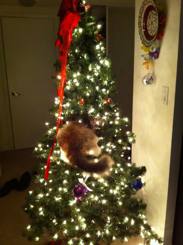 ozdobiť vianočný stromček(3)