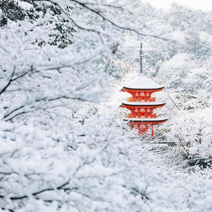 sneh v kyoto (1)