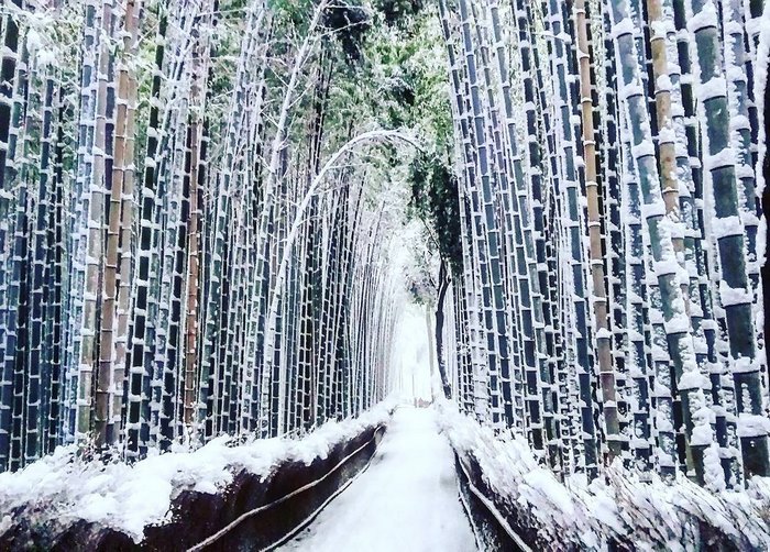 sneh v kyoto (5)
