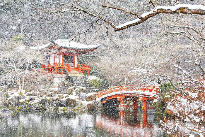 sneh v kyoto (8)