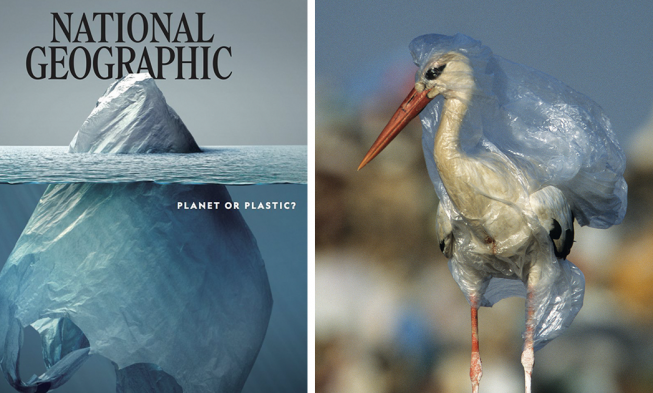 National Geographic urobil titulku, ktorej každý tlieska img