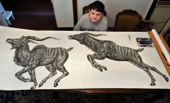 kresby zvierat