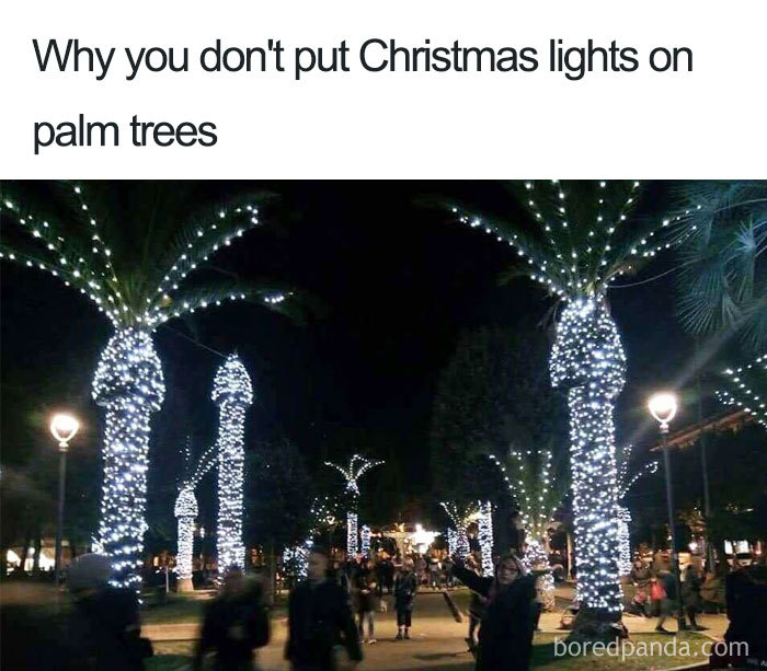 vianočné meme