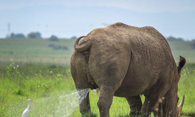 Výhercovia súťaže komediálnej prírody za rok 2019 img