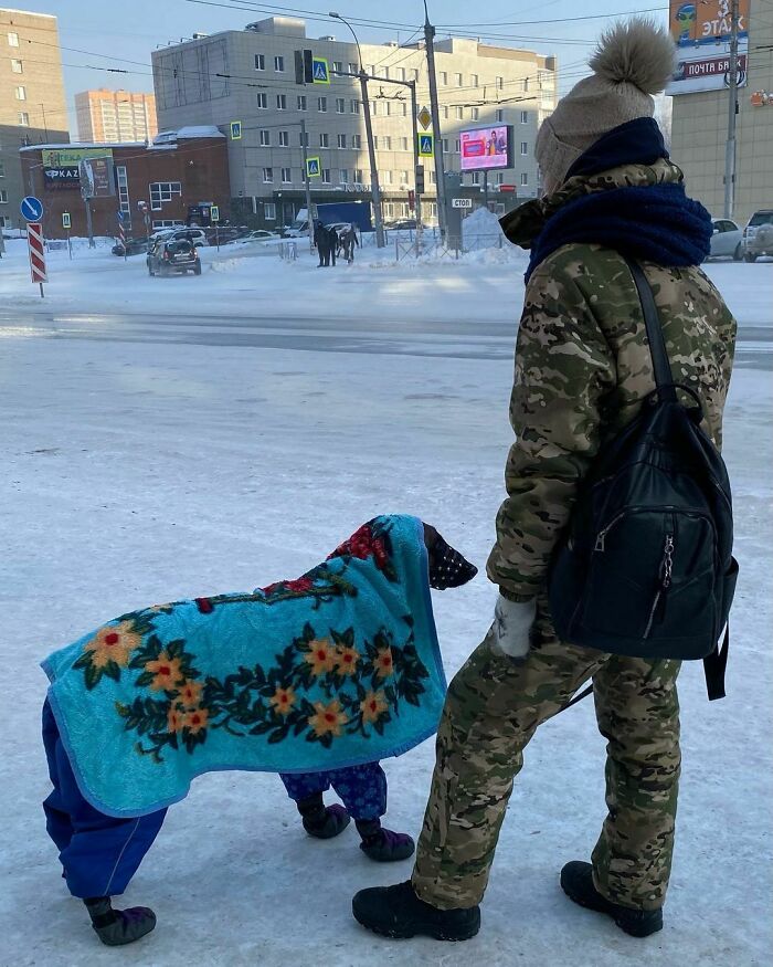 zima v Rusku