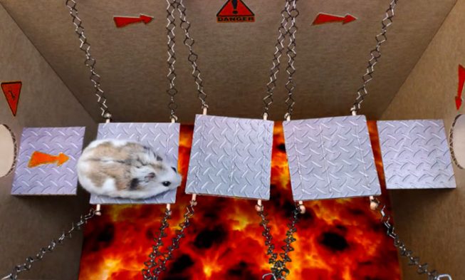 Pozrite si nevšedný útek z väzenia – škrečok z Prison break img