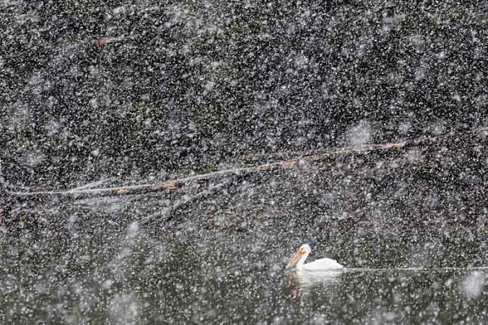 The 2023 Nature Photographer Of The Year